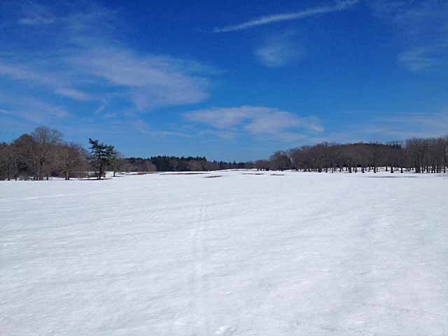 Sunny day, springtime snow, skiing across the field at Appleton Farms, Ipswich. Credit: Mike Maginn