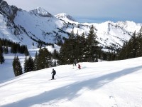 Alta is all about open slopes and big vistas. Here is Big Dipper, a beautiful "blue" level run.
Credit: Harriet Wallis