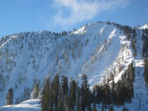 The Mt. Rose chutes from a distance. Credit: Pat McCloskey