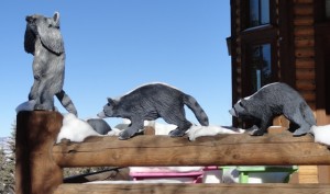 One of the many raccoon sculptures along the trail side houses near the base run out. Credit: Harriet Wallis