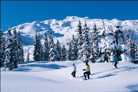Snowshoeing lets you enjoy winter at a different pace. Credit: Ski Utah