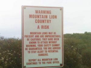 And, oh, there are mountain lions. Keep your eyes open. Credit: Pat McCloskey
