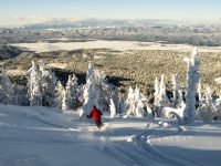 Skiing fresh powder at Brundage Mountain. Credit: Brundage Mountain.