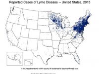 Lyme disease is no longer considered limited to the Northeast.
Credit: CDC