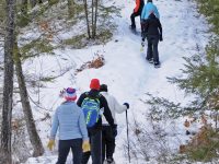 Guided Snowshoe Tour with a Naturalist