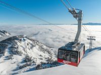 Jackson Hole Sold to New Owners